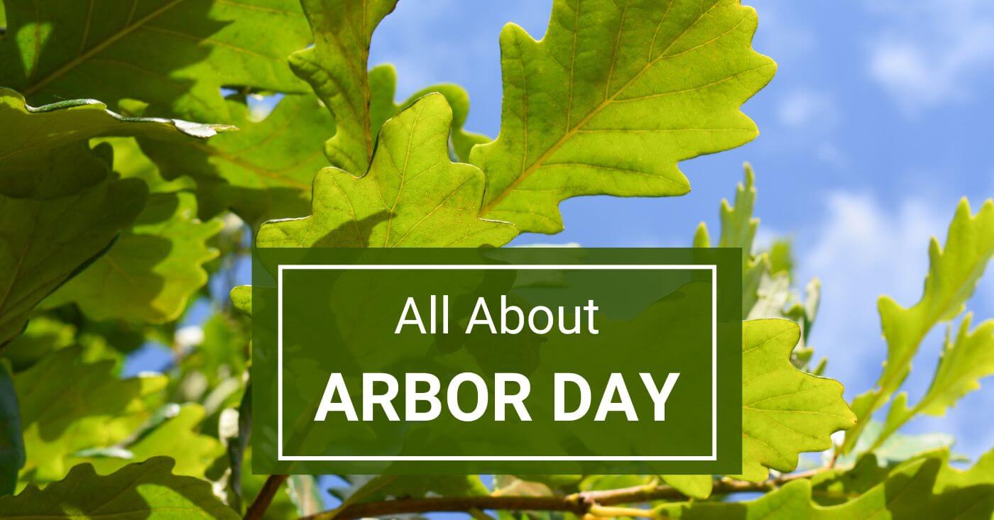 All About Arbor Day: History, Planting Tips &amp; More