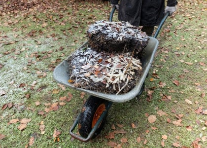 February Landscaping and Garden Tips