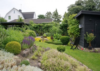July Garden and Plant Tips