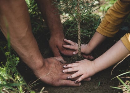 Arbor Day - Unique Facts About Trees
