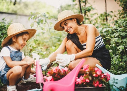 Summer Plant Care Tips