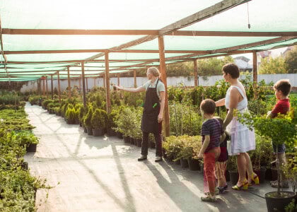 Plan and Prepare Before Planting