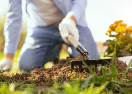 Avoid These 10 Common Garden Mistakes