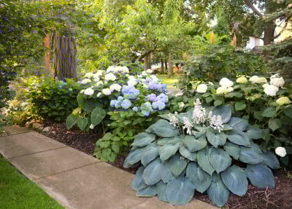 Create Depth and Interest in Your Yard