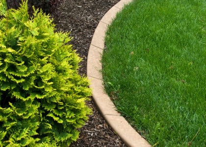 Edging for Your Landscape Design and Garden