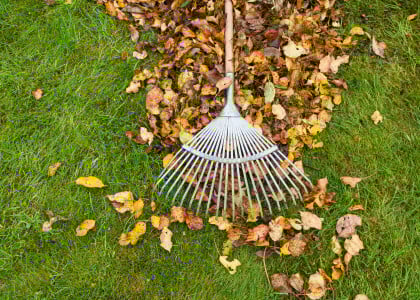 Fall Landscape Checklist &amp; Maintenance