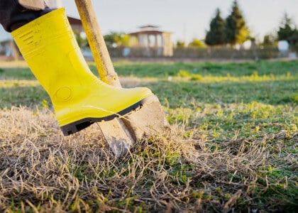 Six Simple Tips for Fall Planting