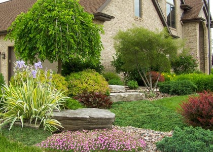 Groundcovers That Are Low Maintenance and Lovely