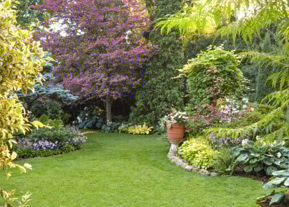 How to Landscape Your Home or Start a Garden
