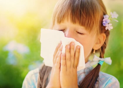 Sneeze-Free Gardens with Allergies in Mind
