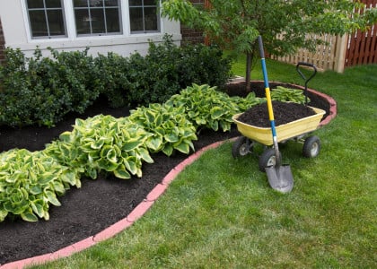 Mulch - Stone or Shredded Bark?