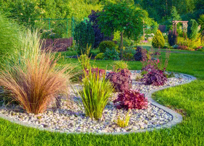 Choosing the Right Plant for the Right Place