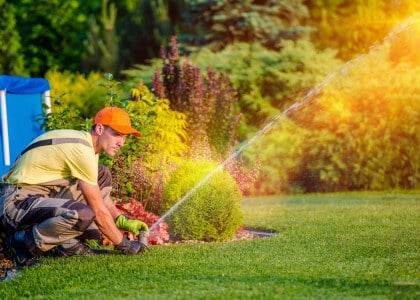 Tricks to Seed and Sod Lawn Care