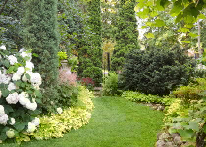 Shade Garden Success In 5 Steps