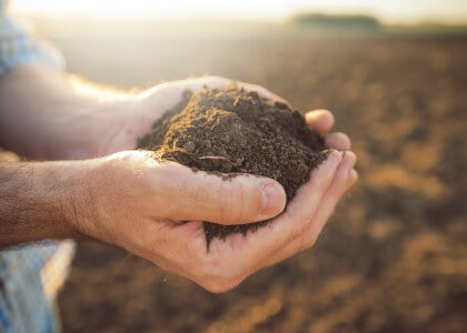 Our Guide to Understanding Soil for your Garden