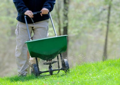 6 Spring Lawn and Grass Care Tips