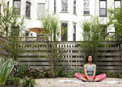 5 Beautiful Trees for Small Landscapes
