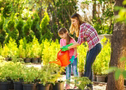 How to Properly Water Your Plants