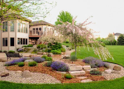 Unique Weeping Plants to Create Interest