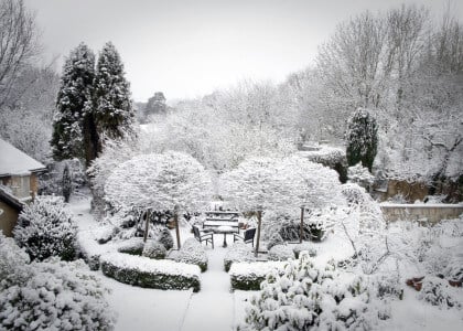 How to Winterize Your Landscape and Plants